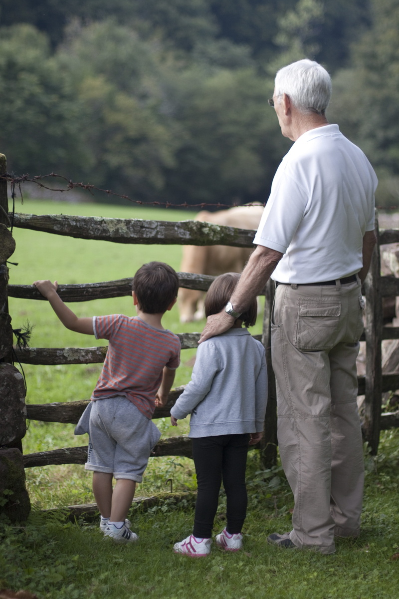 Grandchildren, togetherness, senior adult, Grandfather, lifestyles, adult, family, senior men, children, rear view, men, full length, two people, standing