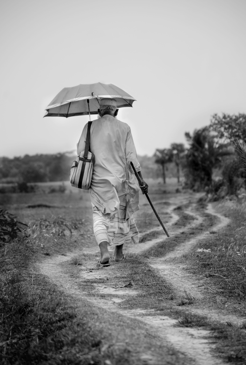 security, walking, umbrella, rain, grandfather, 4K, rainy season, holding, one person, field, casual clothing, land, old man, real people, leisure activity