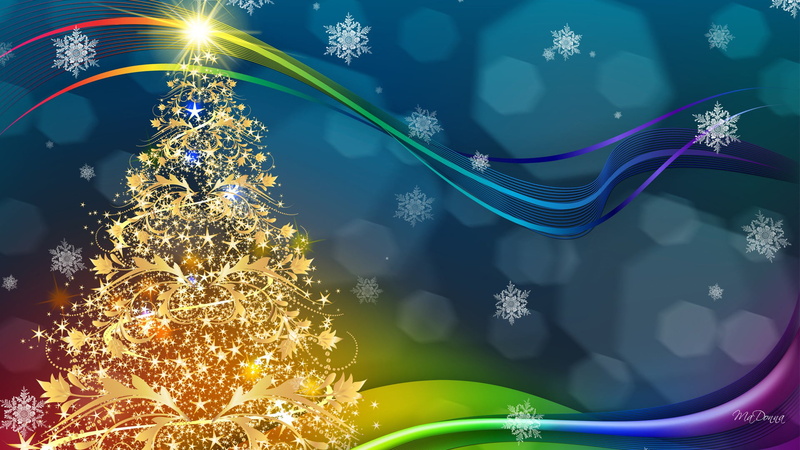 brown, star Shape, illustration, New year, ornate, spruce, Herringbone, snow, decoration, blue, plant, backgrounds, Happy, holiday, design, winter, abstract