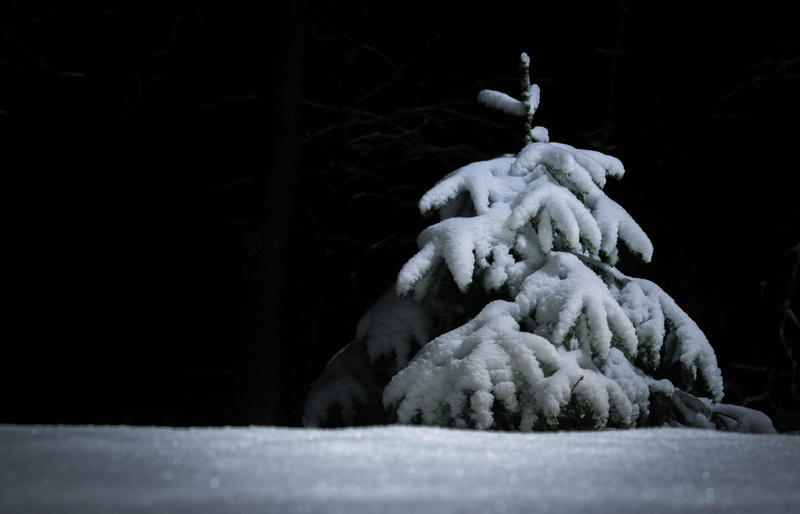 selective focus, indoors, 5K, human representation, sculpture, cold temperature, snow, herringbone, representation, creativity, copy space, snow cap, art and craft