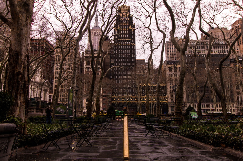 mody, puddles, travel destinations, building, tower, branch, gold, wet, skyscraper, city, black, sad, tree, direction, office building exterior, railing