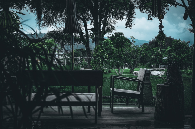 wood - material, coffee, thailand, nature, relax, relaxation, laptop, day, beauty, trunk, resting, pak chong, tropical climate, park, sitting, female, home
