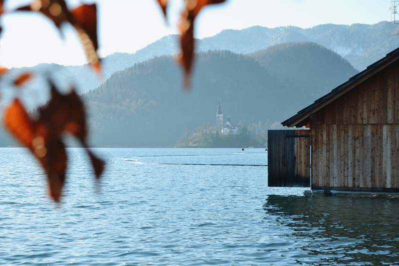 day, nature, one person, wood house, bled lake, vacation, outdoors, motion, slovenia, tranquility, adventure, forest, naturalistic, beauty in nature, waterfront