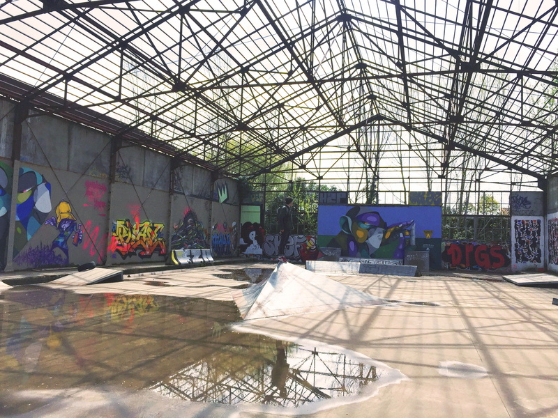 flooring, creativity, street, indoors, greenhouse, men, darwin, 2K, roof, nature, ceiling, building, shadow, boy, urbex, graffiti, painting, france, glass - material