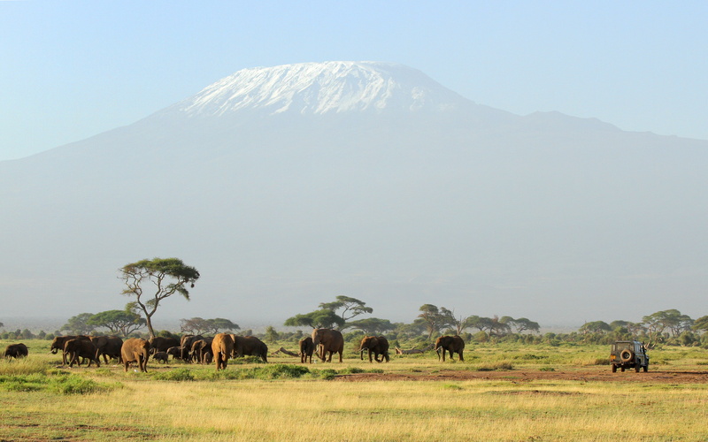 mountain, vertebrate, safari, mountains, scenics - nature, outdoors, beauty in nature, sky, animal themes, 4K, animal wildlife, group of animals, environment