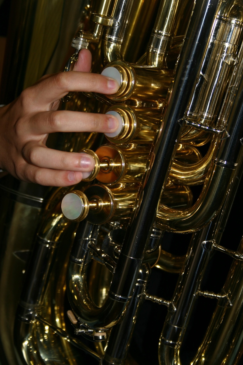 music, metal, holding, human hand, finger, gold colored, 2K, wind instrument, brass, indoors, skill, one person, artist, tuba, human body part, arts culture and entertainment