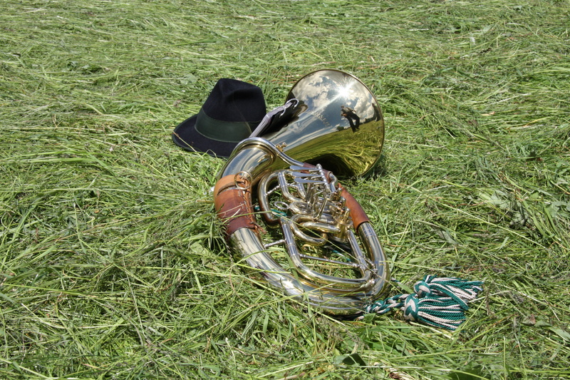 orchestra, no people, growth, mode of transportation, green color, absence, stationary, field, gloss, 4K, costume, tuba, sunlight, idyll, plant, musical