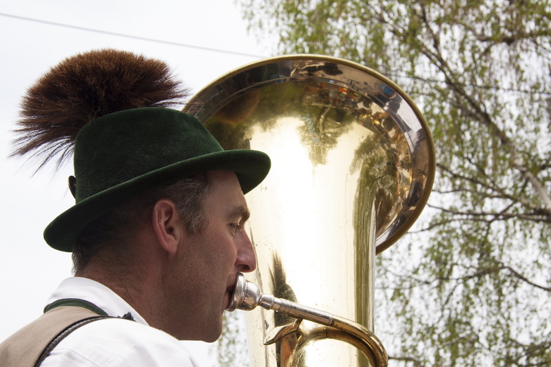 tree, trumpet, brass instrument, musical instrument, portrait, uniform, one man only, brass band, wind instrument, brass, Gamsbart, gaemsbart, marching band