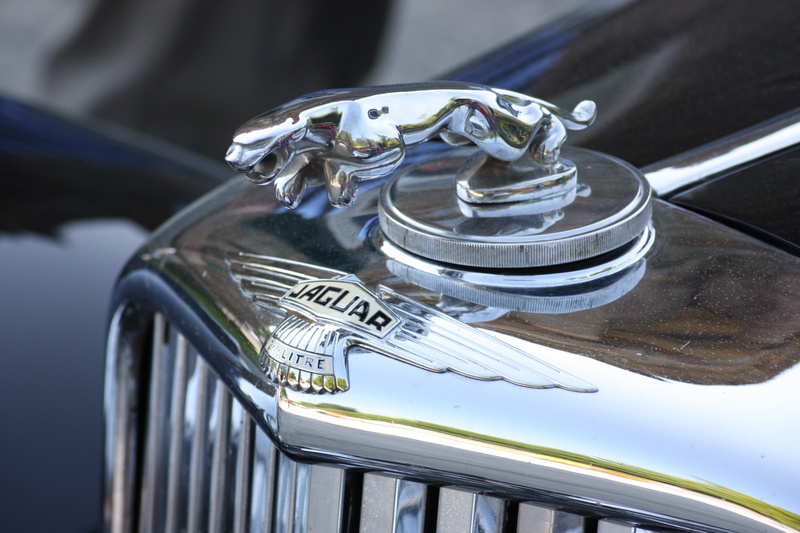 luxury, emblem, oldtimer, pkw, shiny, nature, nostalgic, steel, transportation, classic, focus on foreground, outdoors, cool figure, railing, alloy, figure