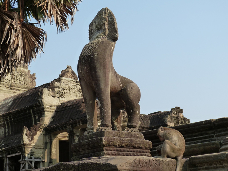unesco, the past, built structure, siem reap, craft, monkey, cultures, art and craft, temple complex, temple - Building, asia, spirituality, cambodia, representation