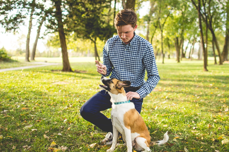people, outdoors, human, dog, domestic, men, plant, beagle, one animal, golden hour, pup, grass, tree, blue, shirt, animal, young adult, domestic animals