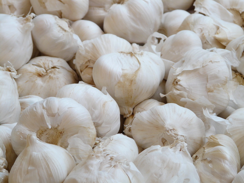 garlic taste, food, aromatic, backgrounds, leek, medicinal plant, full frame, Allium Sativum, White, raw Food, agriculture, freshness, stink, herb, food And Drink