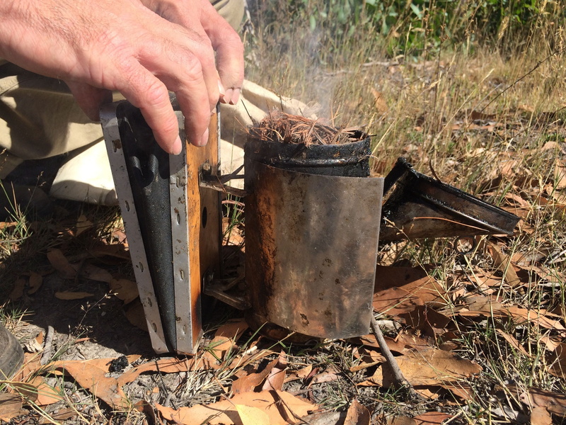 heat - temperature, burning, real people, 2K, men, beekeeper, wood - material, holding, apiarist, land, finger, human hand, flame, outdoors, sunlight