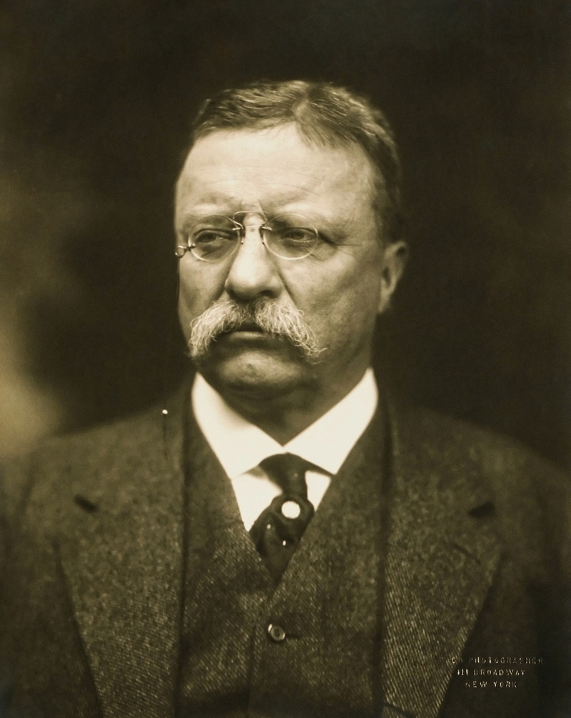 adults only, men, lifestyles, bow tie, serious, roosevelt, looking At Camera, one Person, beard, black And White, public domain, front view, indoors, history