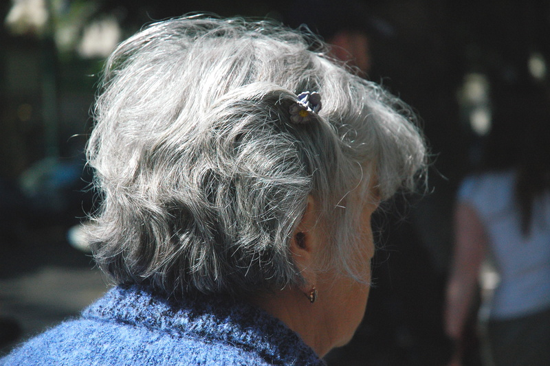 white hair, old People, focus on foreground, one person, grandma, gray hair, old Woman, old Person, hairstyle, senior adult, senior, headshot, women, human hair