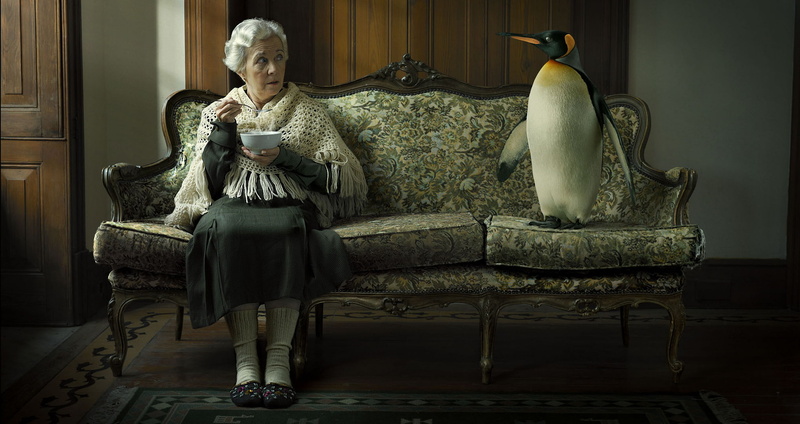 sofa, penguin, 1080P, grandma