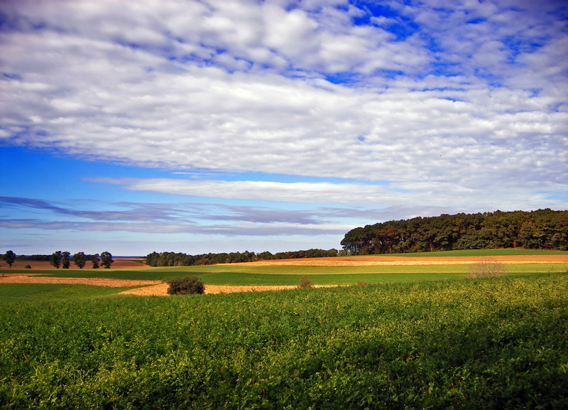 rural Scene, Lehigh County, sky, outdoors, Outreach, summer, autumn, landscape, white, field, Nature, creative commons, scenics, green field, blue, farm