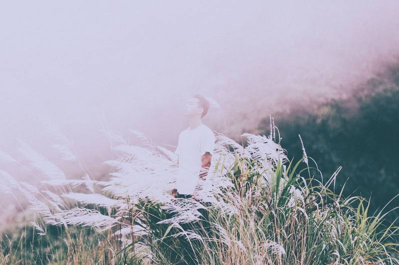 5K, flying, plant, softness, men, outdoors, land, scenics - nature, leisure activity, landscape, fog, beauty in nature, vietnam, field, nature, hải vân pass