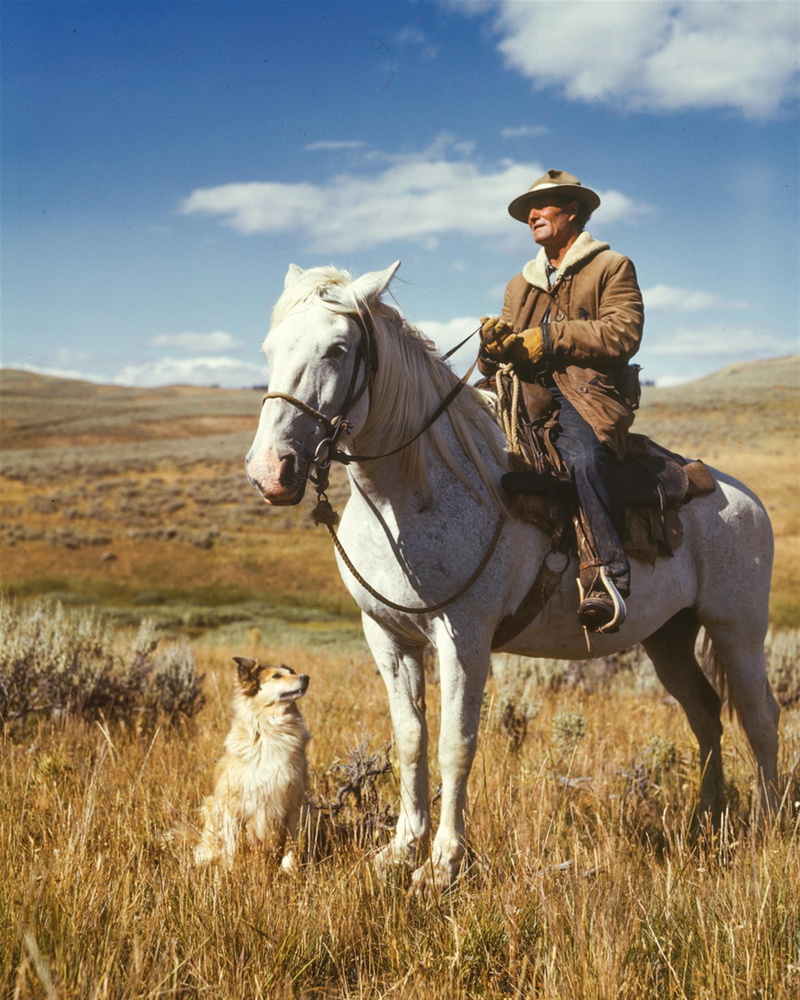 riding, worker, rural Scene, field, rural, land, 1940s, male, animal, farmer, nature, livestock, domestic, agriculture, white, dog, brown, immigrant, caucasian
