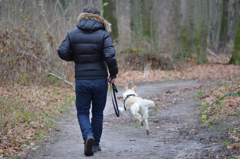 walk, lifestyles, pets, domestic animals, happiness, mammal, land, leisure, walking, vacation with dog, fun, rear view, men, dog plays, black, dog with human
