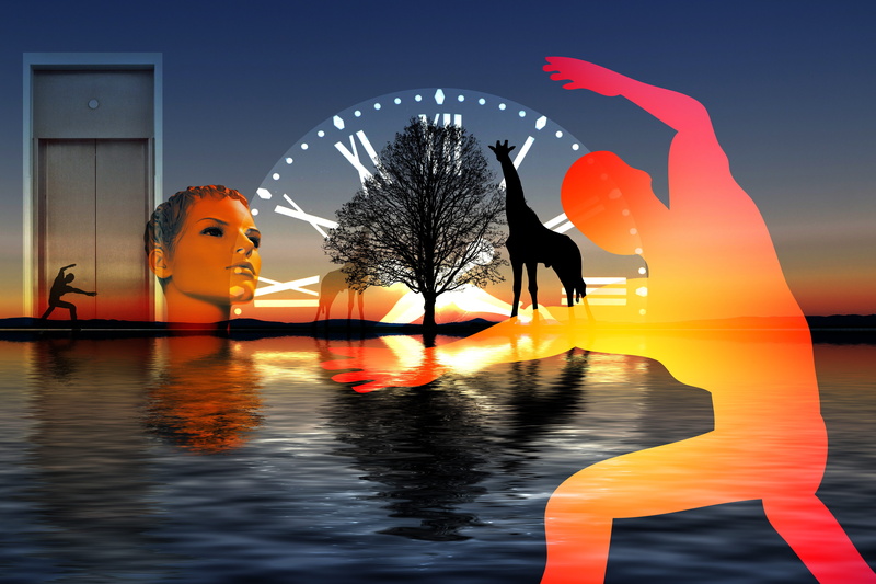 4K, tree, no people, head, symbolic, representation, sunset, person, nature, illuminated, fear, clock, freud, outdoors, door, built structure, architecture