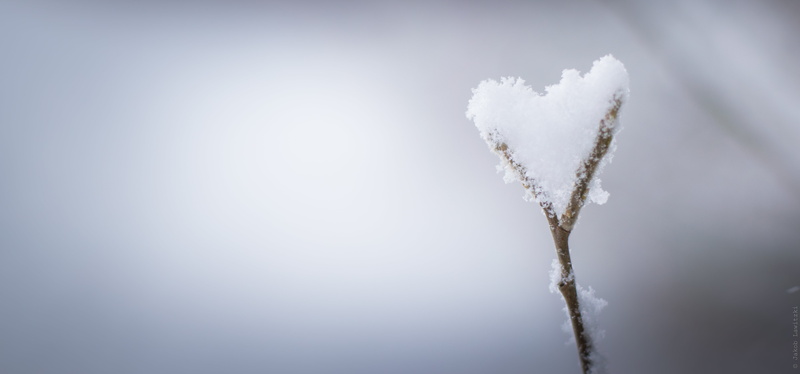 Attraction, Daydream, Magical, Frei, Cold, Herz, Freude, white heart, Atmen, Detail, Bright, Natur, Details, Snowy, Clean  Clear, Finden, Macro, Dream