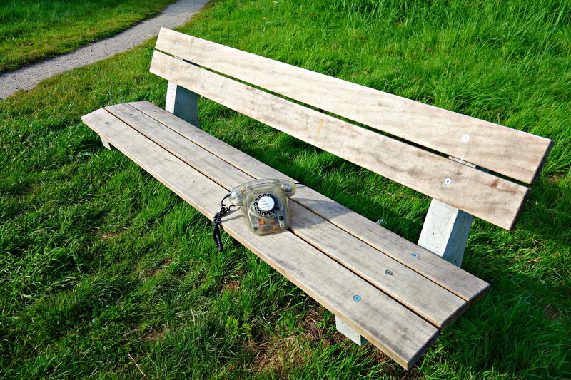 plant, no people, grass, rotary, park bench, absence, day, wood - Material, 4K, old fashioned, nature, daytime, dialling, clear, seat, retro, talk, lawn