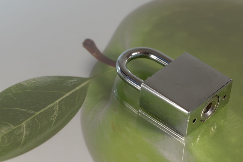 food and drink, castles, studio shot, Metal, no people, copy space, lockable, white background, close-up, focus on foreground, Sure, nature, closed, food