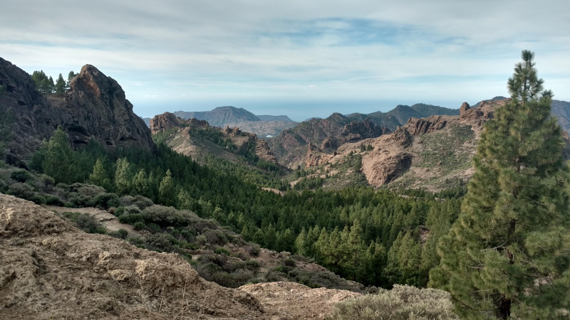 tree, spain, nature, mountain range, rock, plant, environment, 5K, no people, scenics - nature, idyllic, tranquility, sea, pine tree, eroded, land, coniferous tree