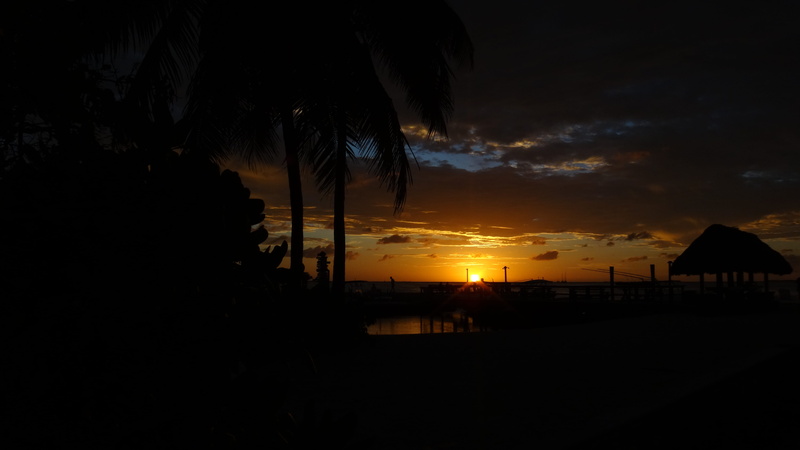 no people, scenics - nature, water, beauty in nature, plant, tree, building, cloud - sky, 4K, florida keys, key west, tranquility, low exposure, tranquil scene
