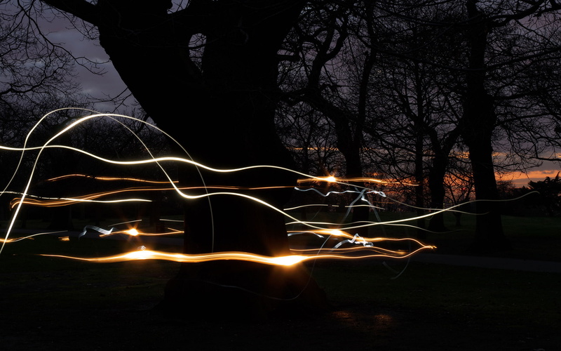 lights, long exposure, light trails, dark, outdoors, trees, 1080P, night, park