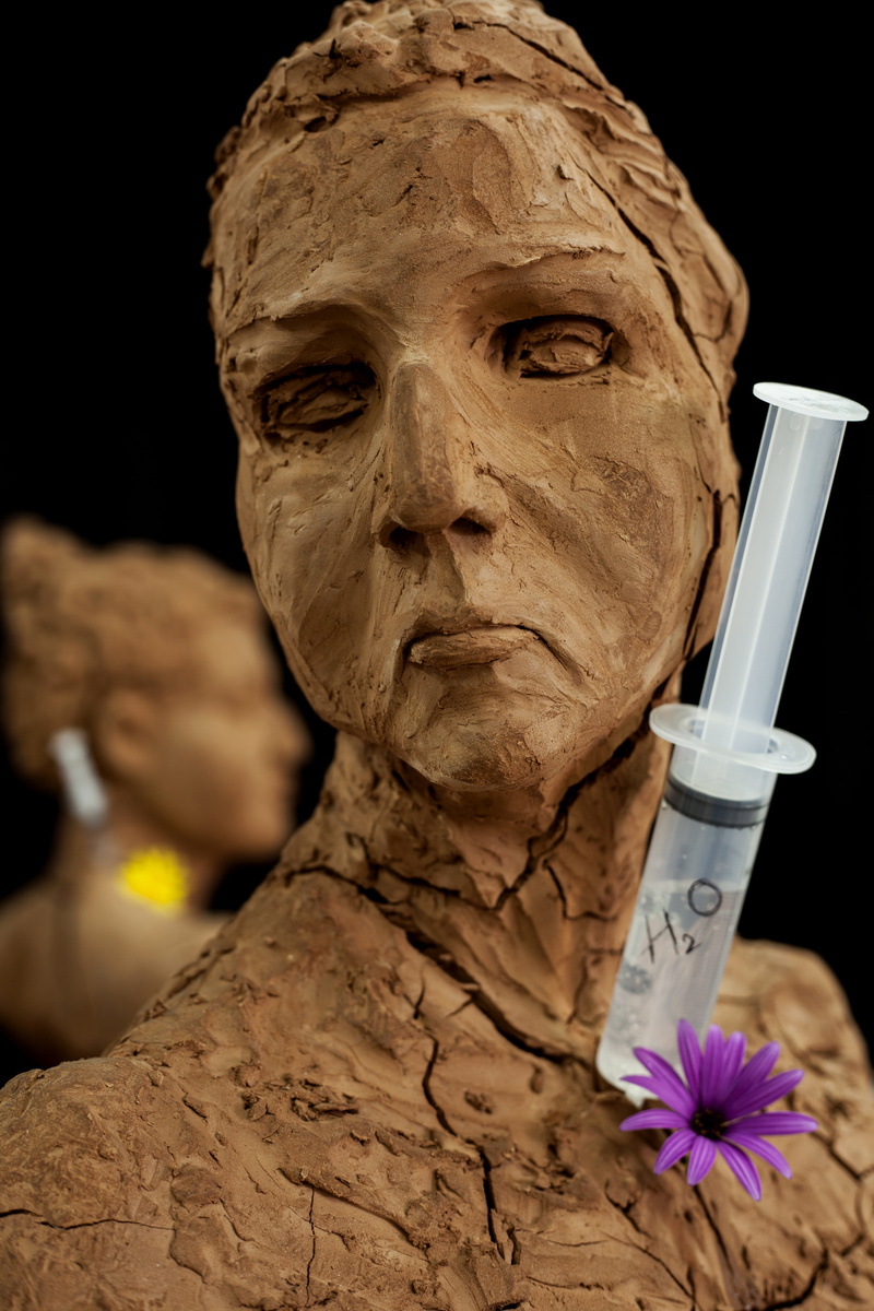indoors, human skeleton, live, male likeness, dried up, studio shot, studio, fiction, black background, mud, flowering plant, art, human representation