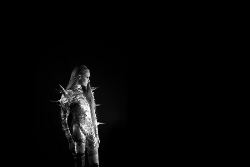 animal wildlife, idea, no people, studio, wall, body part, art, exposure, close-up, black and white, animal head, photo, angel, the young woman, black Background