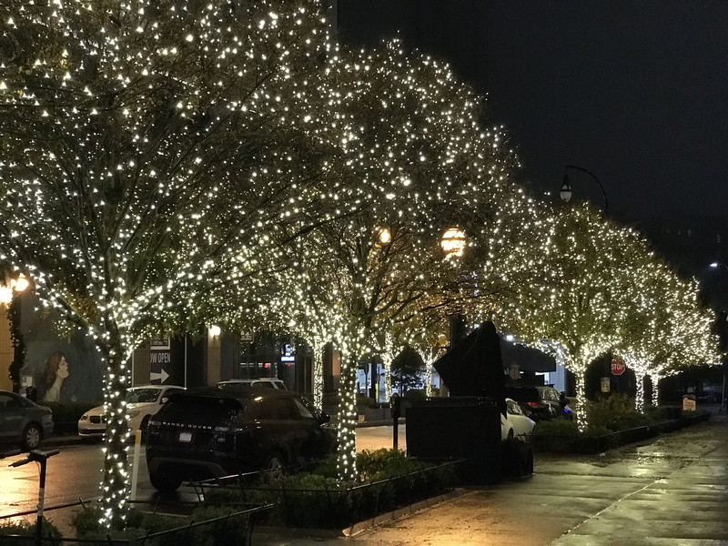 christmas lights, plant, celebration, georgia, christmas decoration, decoration, christmas, illuminated, built structure, lighting equipment, no people