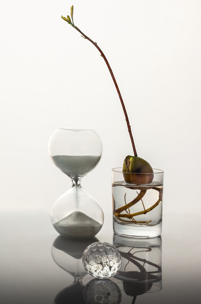 close-up, transparent, copy space, no people, table, indoors, sand, sprout, clock, decoration, 5K, food, white, glass, hanging, nature, time, lighting equipment