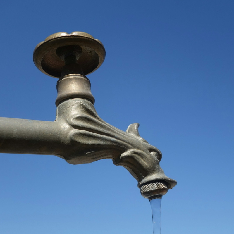 1080P, close-up, architecture, thirst, ornate, no people, heat, cooling, justice - concept, nature, sky, summer, Bird, day, the past, copy space, water