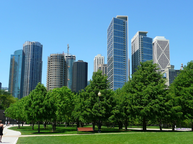 blue, rise, building, office Building, day, tree, green leaf, high-rise buildings, high, leaf, buildings, nature, park, office, building Exterior, uSA
