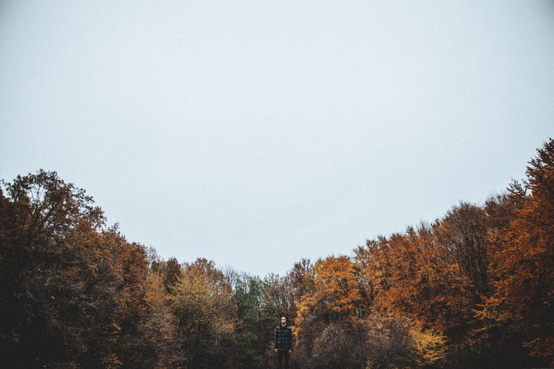 woodland, change, brown, scenics, blue, plant, no People, landscape, outdoors, near, scenics - nature, clear sky, day, 5K, autumn, yellow, color Image