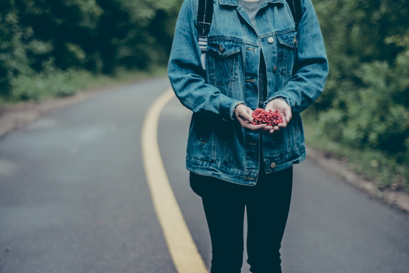 berries, autumn, seeds, daytime, jeans, fruit, denim, person, hand, outdoors, real people, green, jean jacket, woman, human body part, front view, people