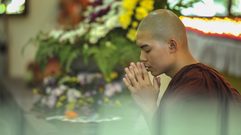 respectfully, plant, re, selective focus, contemplation, portrait, monastic, adult, young adult, men, day, Homage, indoors, headshot, monk, one person