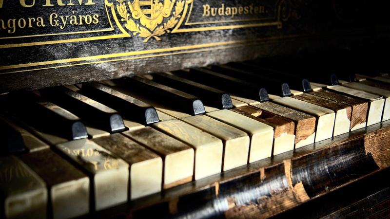 building, percussion instrument, home, business, music, marimba, house, design, musical instrument, 4K