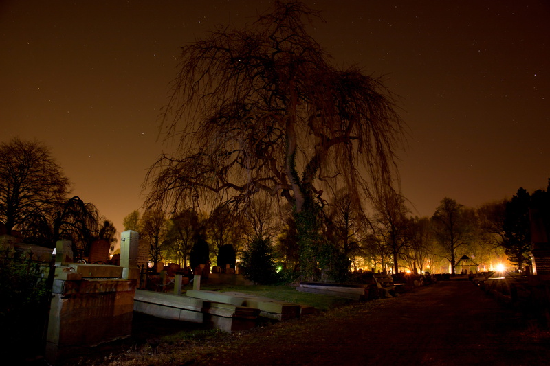 nature, beside, tranquil scene, relaxation, bench, illuminated, plant, spooky, bridge, sky, starry, park - man made space, dusk, outdoors, no people, sullen
