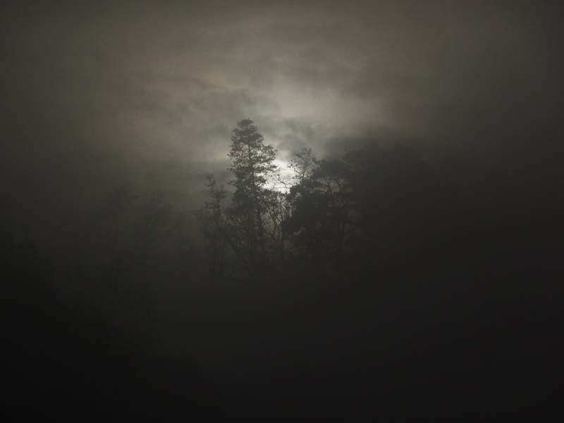 non-urban scene, sky, sunlight, nature, low angle view, beauty in nature, mystery, mysterious, land, dreamy, plant, evening, night, weather, black Color