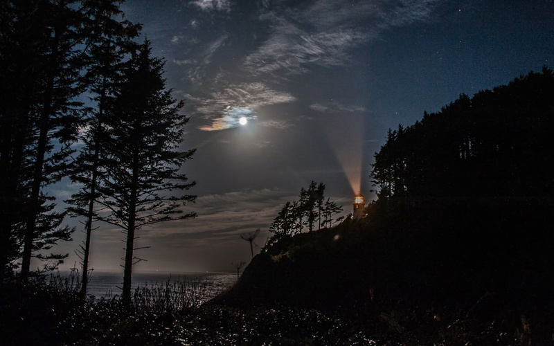 dark, sun, cloud - Sky, power in nature, summer, mystery, sullen, sunbeam, growth, spooky, sunlight, sea, tree, morning, dusk, non-urban scene, mist, fog