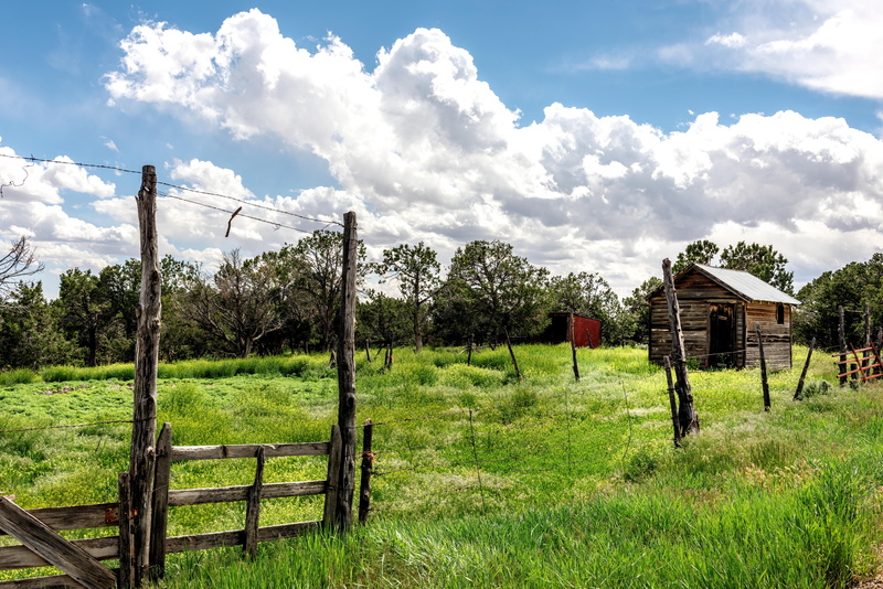 landscape, barrier, carol m highsmith, growth, barn, architecture, tree, built structure, montezuma county, wood, old, north america, scale, colorado, agriculture
