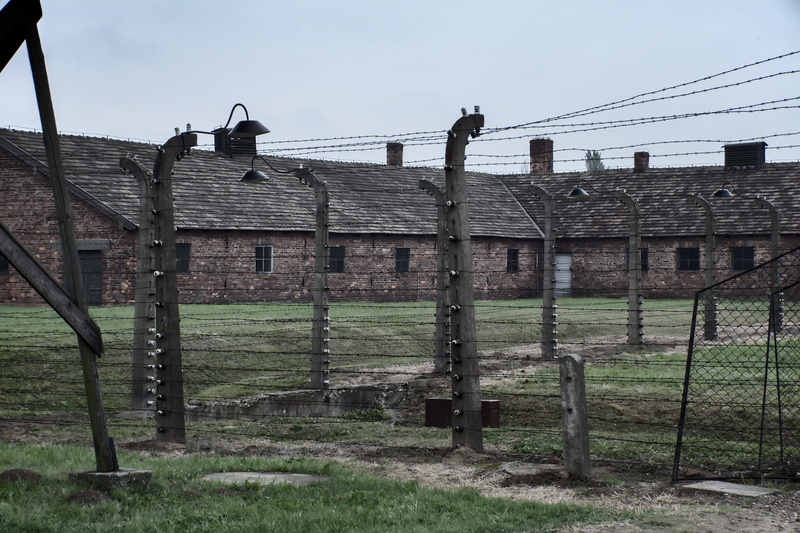5K, the jews, obsolete, memorial, nature, auschwitz 2, barrier, camp, plant, building, old, boundary, wood - material, unesco, the holocaust, outdoors