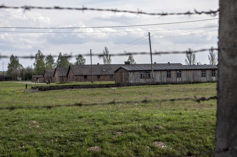field, sky, landscape, auschwitz-birkenau, day, architecture, green color, electricity pylon, nature, power line, tree, plant, grass, electricity, labour camp