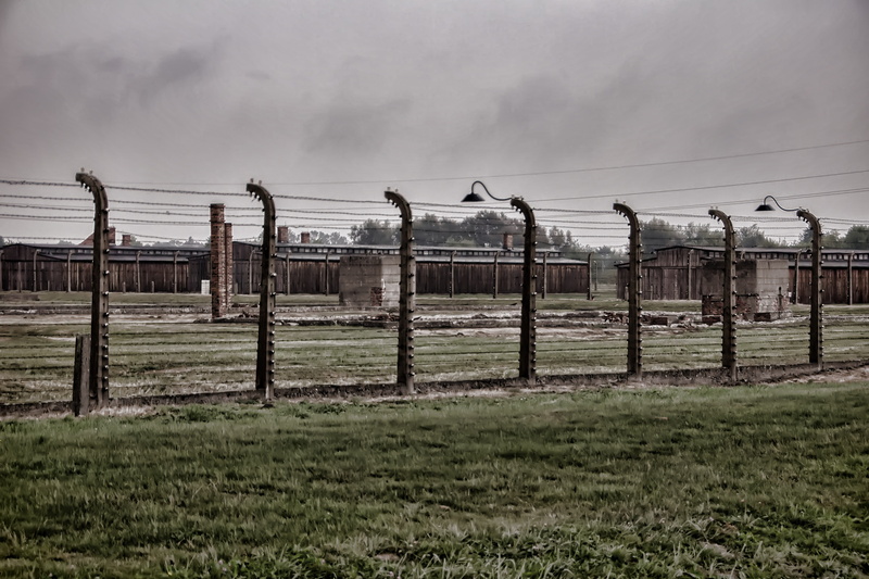 tranquility, museum, environment, memorial, landscape, the jews, the holocaust, security, outdoors, safety, land, 4K, barbed wire, nature, auschwitz, no people