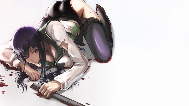 technology, 720P, long hair, hairstyle, copy space, adult, young adult, women, clothing, Highschool Of The Dead, cut out, indoors, young women, Busujima Saeko