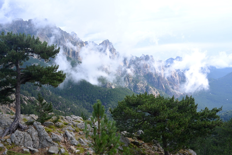 scenics - nature, environment, pine, growth, mountain, nature, tree, cloud - sky, france, tranquil scene, power in nature, landscape, tranquility, 4K